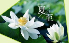 2019年夏至上坟祭祖吗？祭祖有什么讲究？