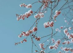 2019年农历六月初一日子是不是吉日,今天不能做什么？