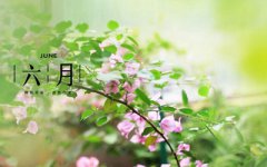 2019年农历六月适合装修的日子有哪些？