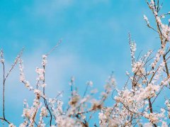 2019年阴历四月二十八儿童节迁坟好吗,阴宅迁坟有何讲究？