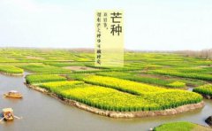 2019年芒种日出生的孩子命运怎么样,芒种三候是什么?