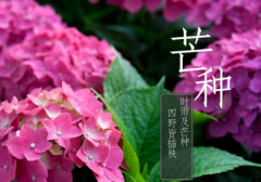 端午节可以送礼品吗？送礼品鲜花适合吗？