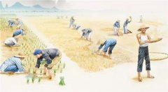 2019年芒种节气是几月几日几点几分开始,芒种有何习俗？