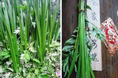 端午节什么时间挂艾草,端午节挂多少艾草合适？