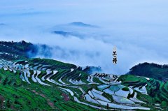 2019年五月初四芒种节气丑时出生的人命运好吗?