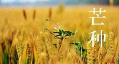 2019年芒种节气是哪天，几点几分是芒种时辰？