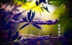 2019年五月初四芒种节气辰时出生的人富贵命吗?