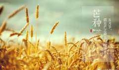 芒种节气的含义是什么2019年芒种还有几天？
