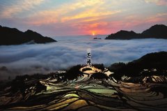 属猪的人五月初四芒种节气子时出生好不好，命运好吗？