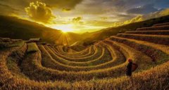 芒种有什么风俗2019年芒种天气热吗？