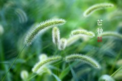 端午节需要准备什么？2019端午节是黄道吉日吗？