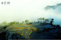 2019猪年芒种节气戌时出生的人命运怎么样？