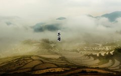 2019芒种出生是纯阴命吗？纯阴命是什么意思？