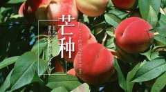 2019年芒种适合开业吗,农历五月初四芒种开业好吗?