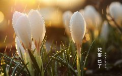 2019猪年芒种节气出生的人会一生顺遂平安吗?