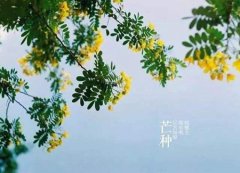 芒种节气有何气候特点,芒种养生需要注意什么事项?