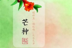 2019年农历五月初四芒种出生五行缺什么,芒种出生好吗?