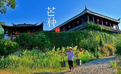 什么是芒种？芒种注意什么？