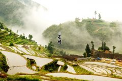 芒种过后几天交运？芒种交运注意什么？