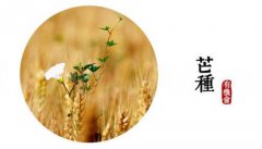 2019年芒种可以搬家吗，搬家时辰吉凶分析