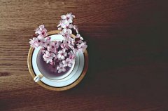 2019年农历五月怀孕要几月生,2019年端午节出生好吗？