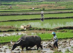 2019年农历五月初四芒种可以盖房子吗,芒种动土吉利吗？