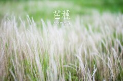 2019年五月初四日芒种节气注意不能做什么？