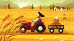 2019年端午节前一天芒种节气结婚好吗，芒种嫁娶迎亲好吗？