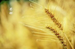 2019年农历五月初四芒种是安葬逝者的黄道吉日吗？