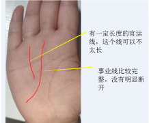 具备公务员特征的手相（风水相术）