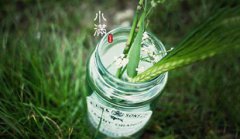小满下雨有什么说法，小满无雨芒种无水的意思