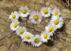 2020年阴历五月二十四今天适合出殡吗,今天卦象如何？