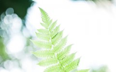 小满节气是哪一天,“满”的含义