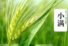 小满有什么风俗习俗,有什么禁忌吗?