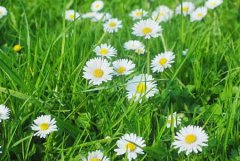 2020年农历五月廿三迁坟好不好,今天时辰吉凶查询！