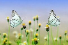 2020年农历五月二十日子好不好,今天是黄道吉日吗？