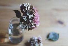 2020猪年母亲节未时出生的人命好不好？