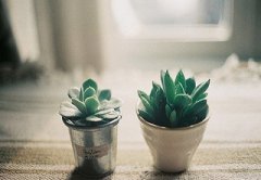 2020猪年母亲节巳时出生的人什么命？