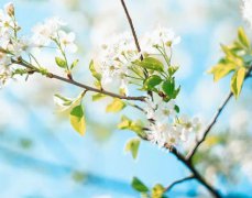 2020年农历五月十三日子好不好,今天是黄道吉日吗？