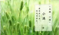 小满节气是什么节气2020年小满吃什么食物较好？