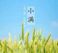 描写小满节气古诗精选欣赏,2020年小满是几时几分开始？