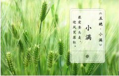 小满吃什么传统食物,小满吃苦菜要注意什么？