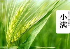小满节气农事生产有何注意要点,小满养生注意什么？