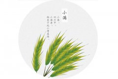 2020猪年小满节气未时出生的人命好不好？