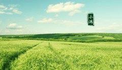 2020年5.21结婚是小满节气好吗，哪些生肖不宜出嫁？