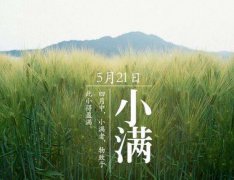 小满节气的含义，2020年小满时辰吉凶宜忌