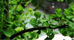 2020年5月21日小满今天日子适合出行吗,小满出行好吗？