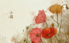 2020年小满节气申时出生的属猪人什么命？