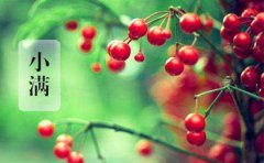 2020小满节气时间是几点，小满吃什么传统食物？