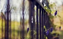 2020年农历五月十九日夏至节气出生的女孩命运好吗？